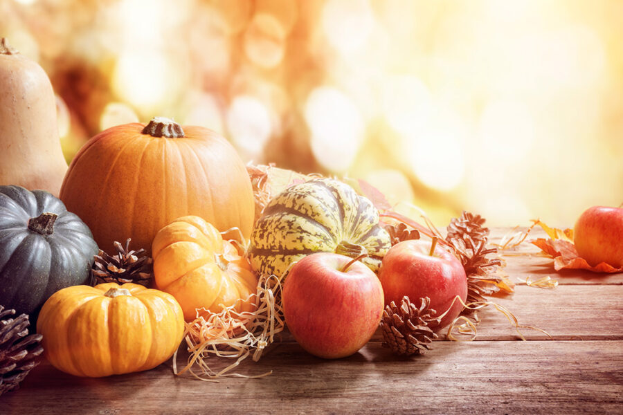 Thanksgiving pumpkin, gourds, apples