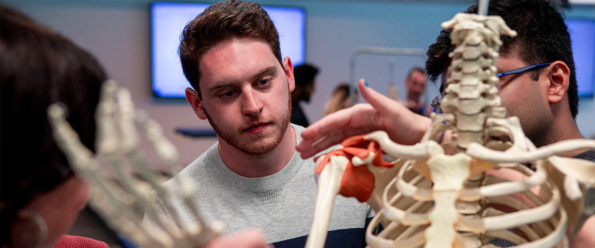 Students looking at skeleton model.