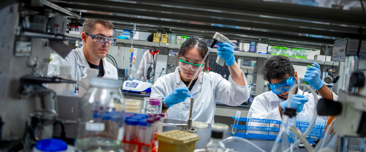 Three students work on research in a lab in the Department of Biological and Chemical Sciences.