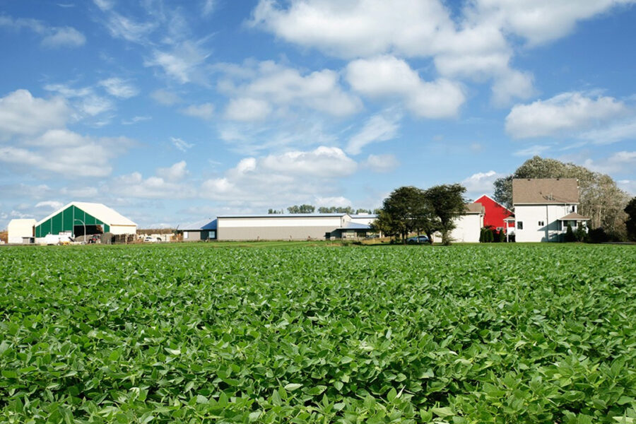 Green farmland with farm buildings in background under a cloudy blue sky.