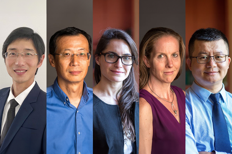 Profiles of five faculty members who are working on NIH and NSF funded research.