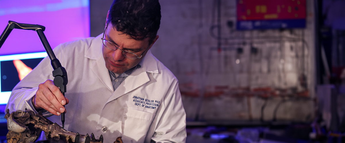 Professor in lab coat using a mechanical arm on fossils.