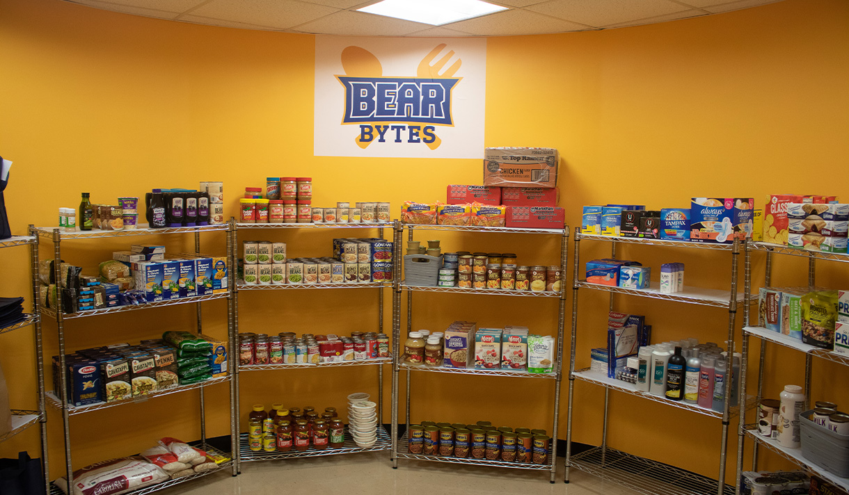 Cabinets in Bear Bytes storage.